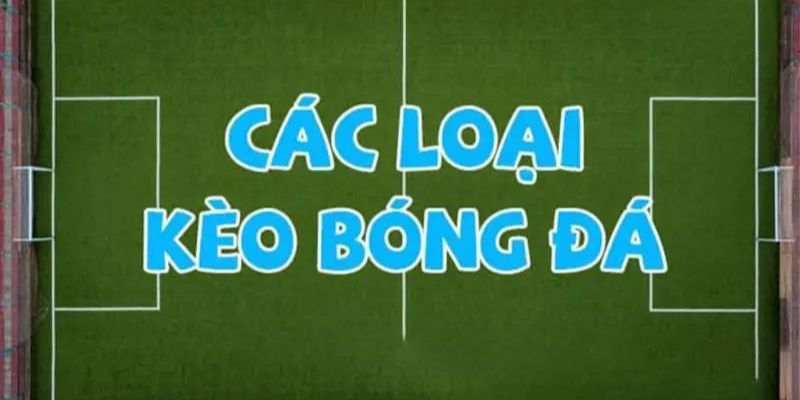 cac-loai-keo-bong-da-pho-bien-tong-hop-cac-dang-cuoc-ca-do-bong-da-co-ban-tai-nha-cai.jpg