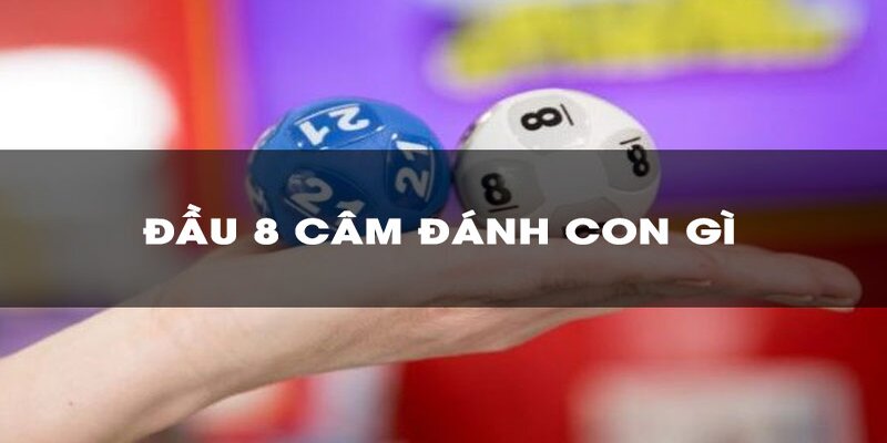 dau-8-cam-danh-con-gi-luu-y.jpg